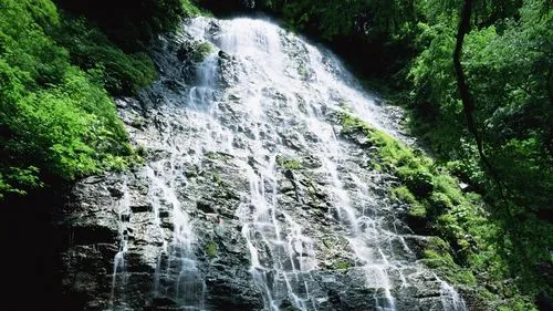 高端工业数字化